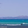 Mehrere Kitesurfer in der Bucht von Pollensa